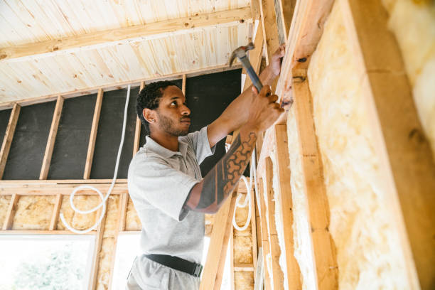Best Insulation Contractor Near Me  in Forest Heights, TX
